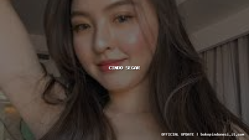 cindo segar
