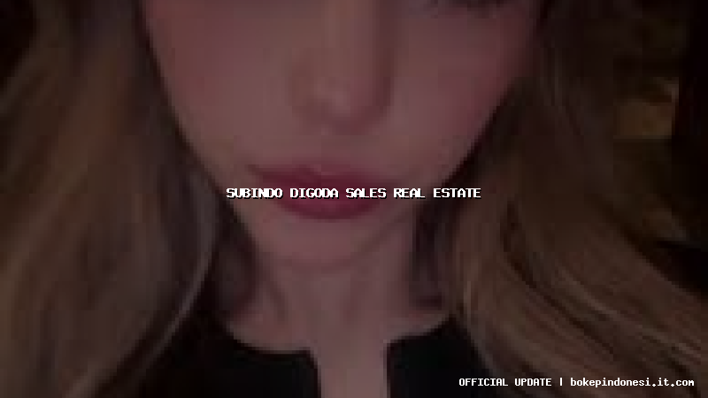 subindo digoda sales real estate