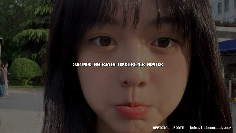 subindo ngerjain housekeper montok