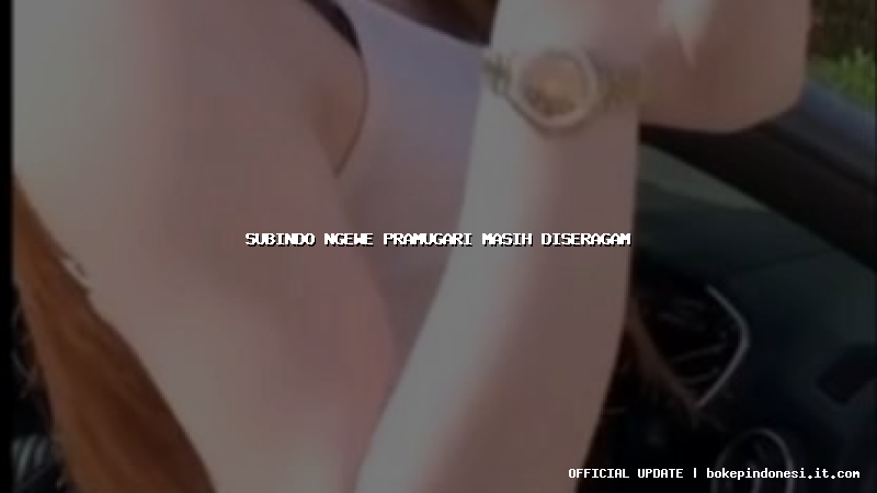 subindo ngewe pramugari masih diseragam