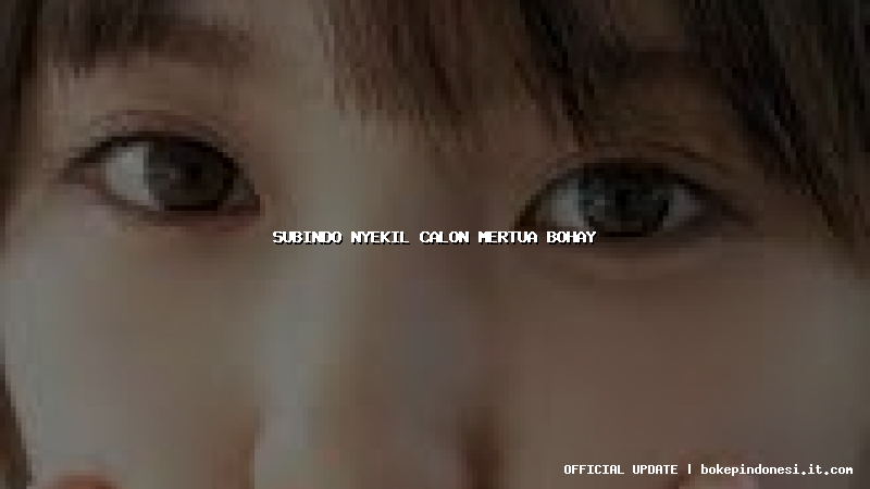 subindo nyekil calon mertua bohay