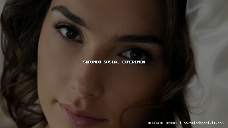 subindo sosial experimen